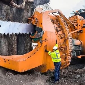 best tree removal equipment