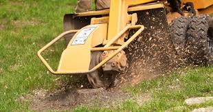 stump grinding cost