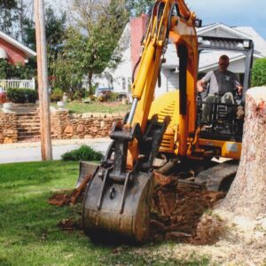 stump removal asheville