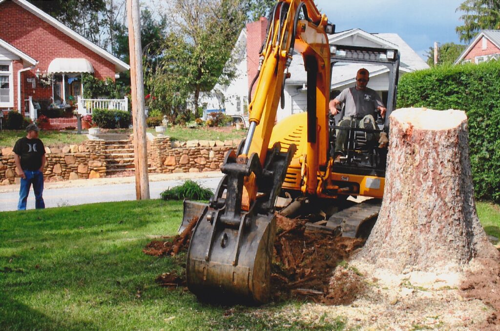 stump removal asheville