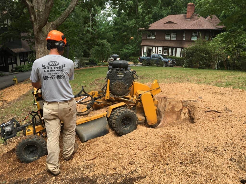 stump removal asheville