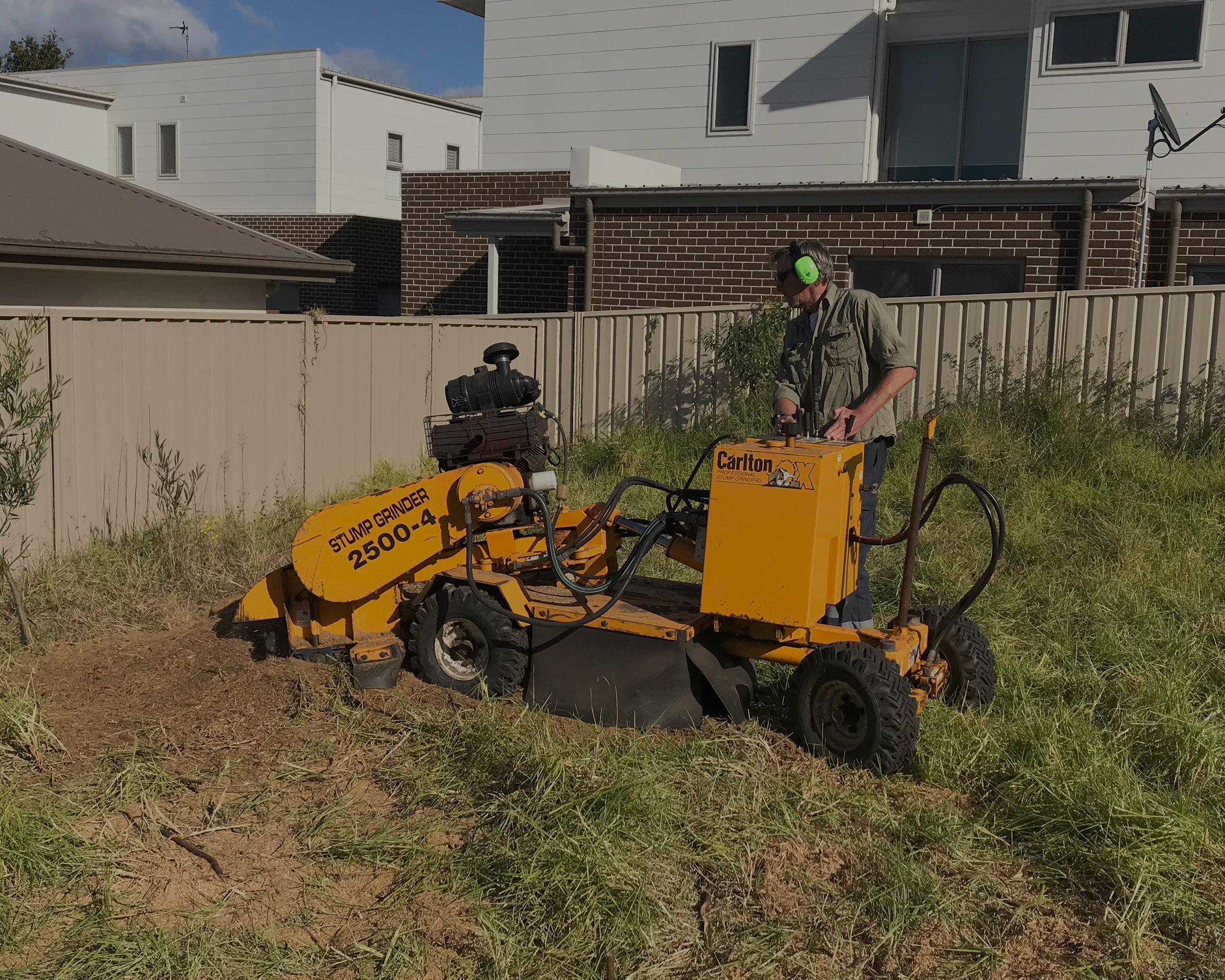 stump removal business