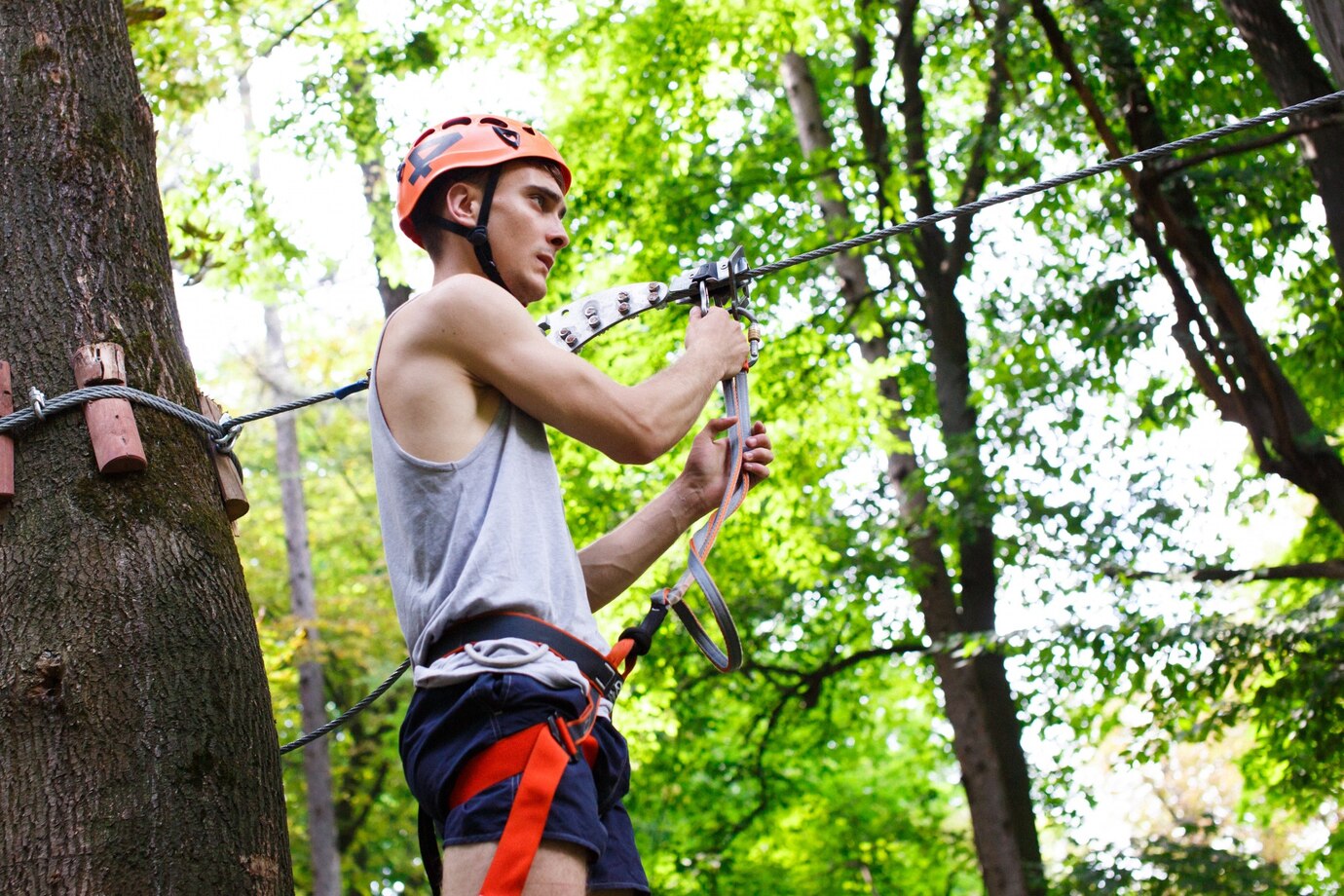 tree climbing gear near me