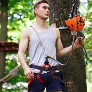 tree climbing gear near me