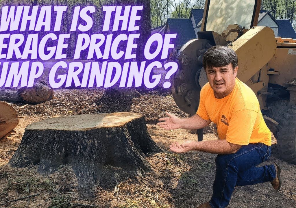 stump removal cost