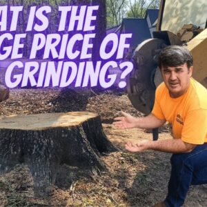 stump removal cost