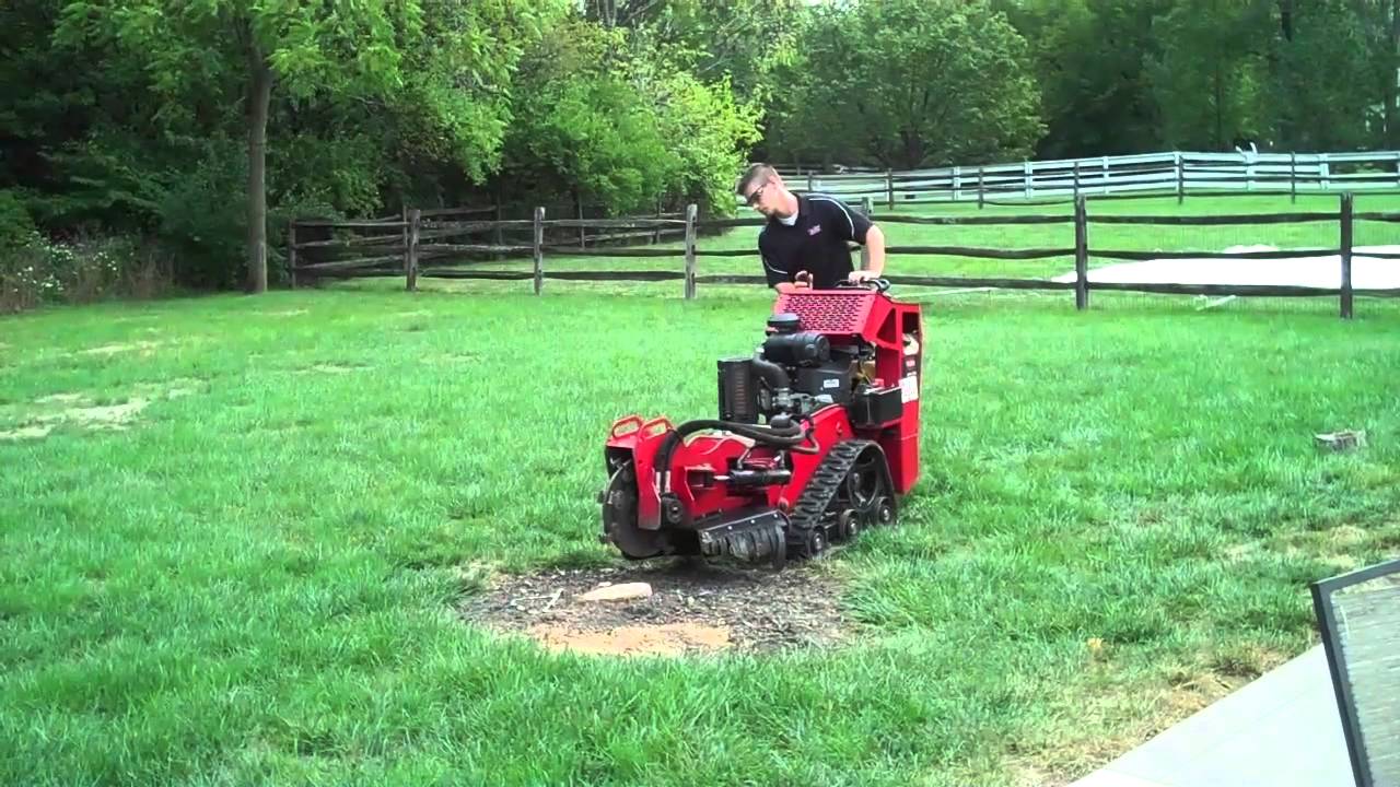 tree stump grinder rental