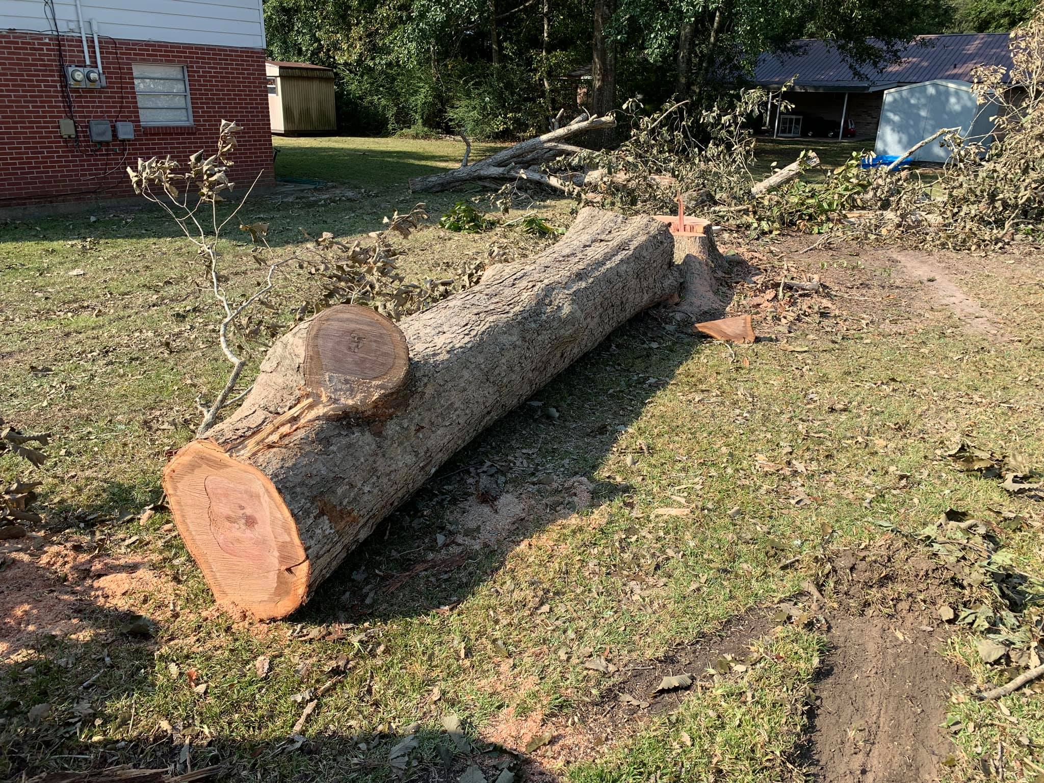 Tree Stump Removal Cost Near Me