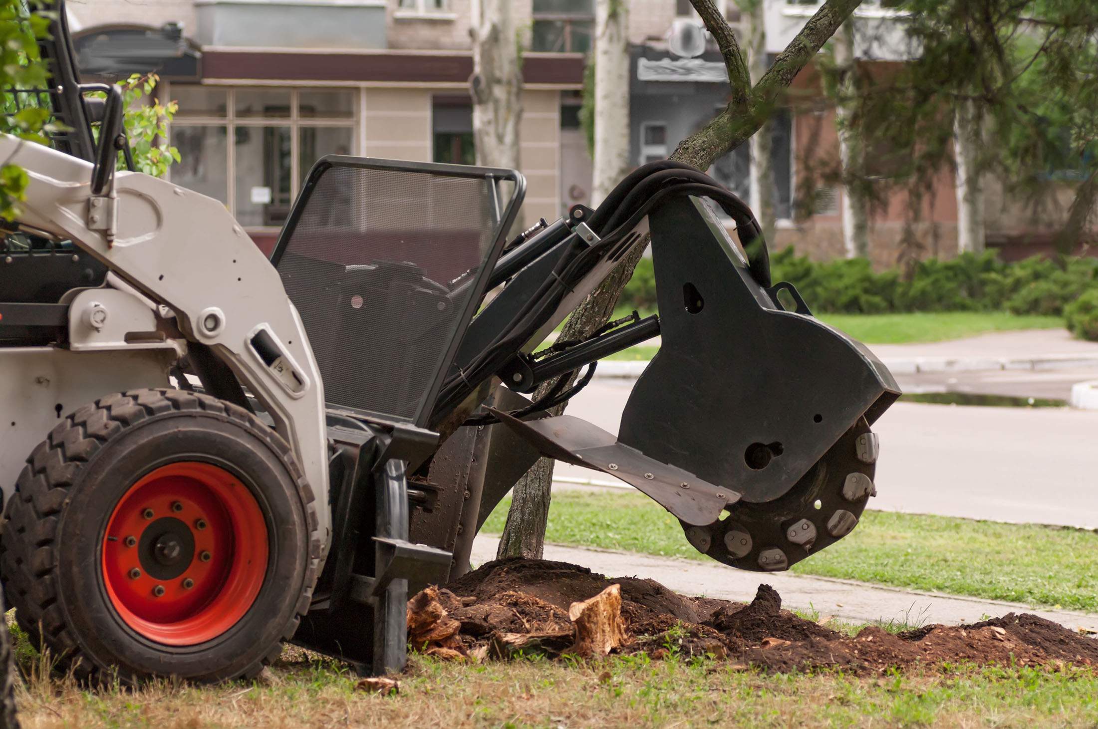 stump removal asheville