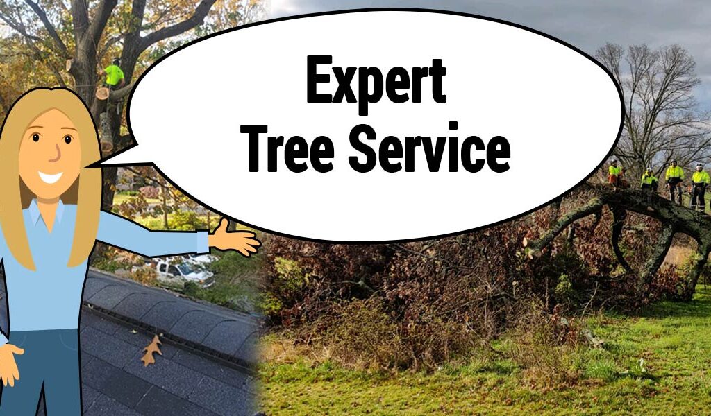 tree experts near me