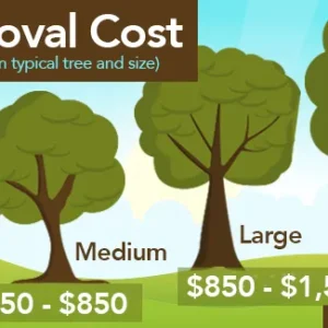 pine tree removal cost