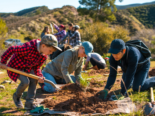 top tree planting charities