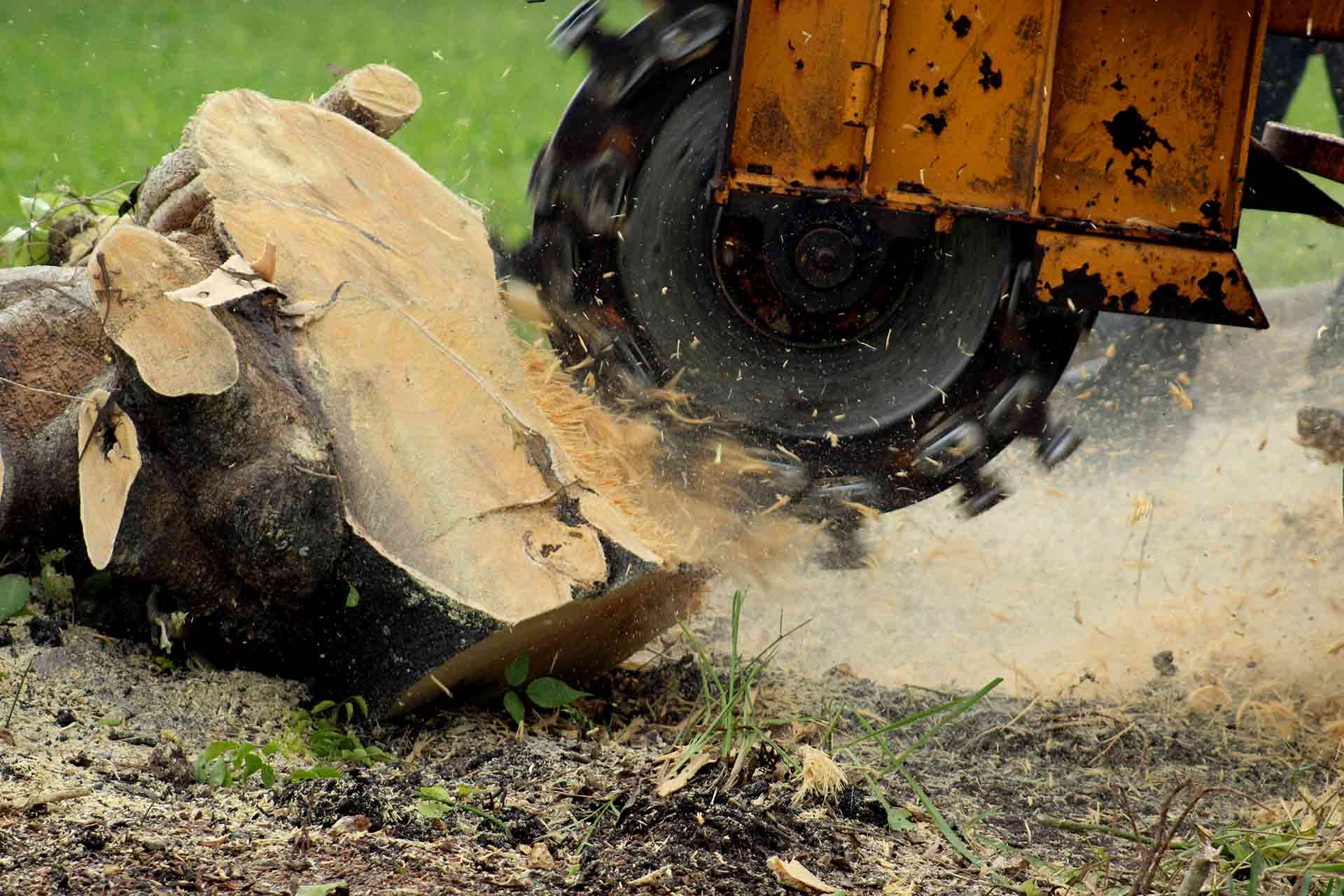 easy stump removal methods