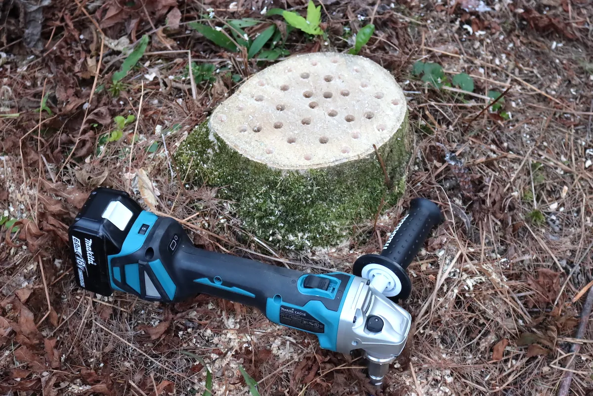 easy stump removal methods