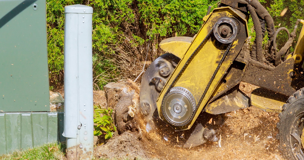 fast tree stump removal