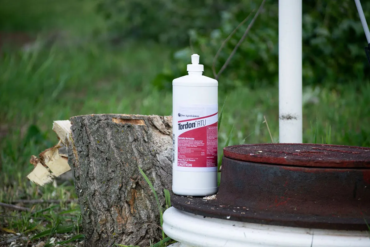 Stump removal chemical