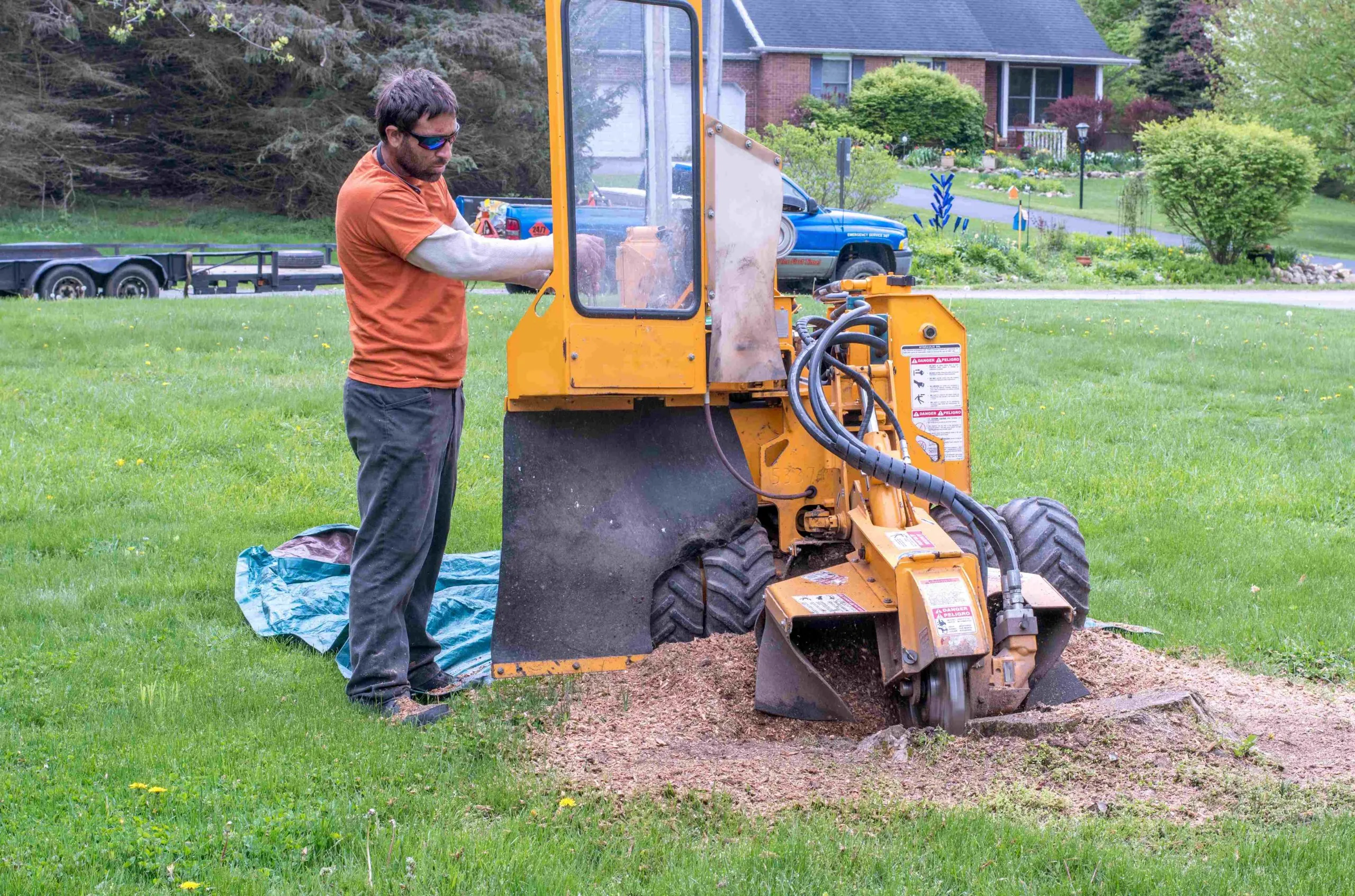 fast tree stump removal