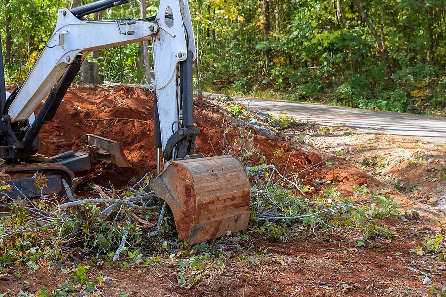 fastest way to remove stumps
