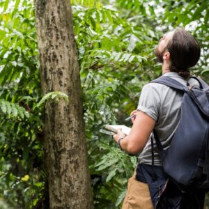 tree health assessment near me