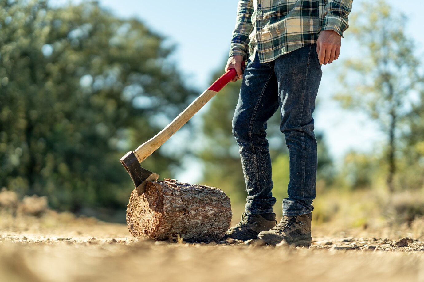 quick tree stump removal