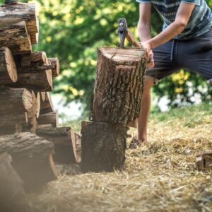 quick tree stump removal