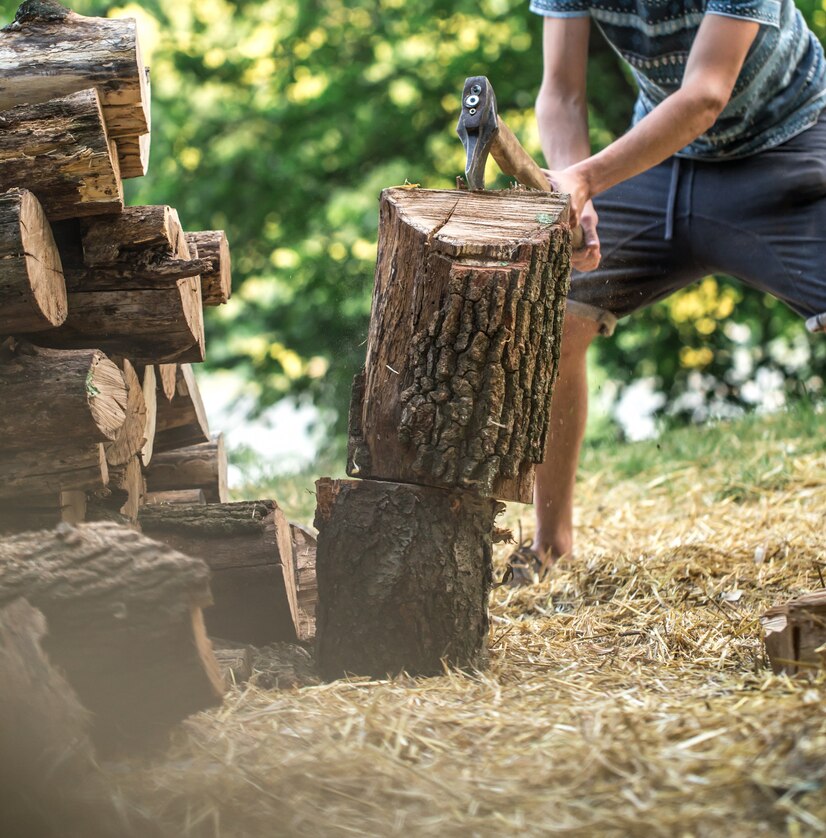 quick tree stump removal