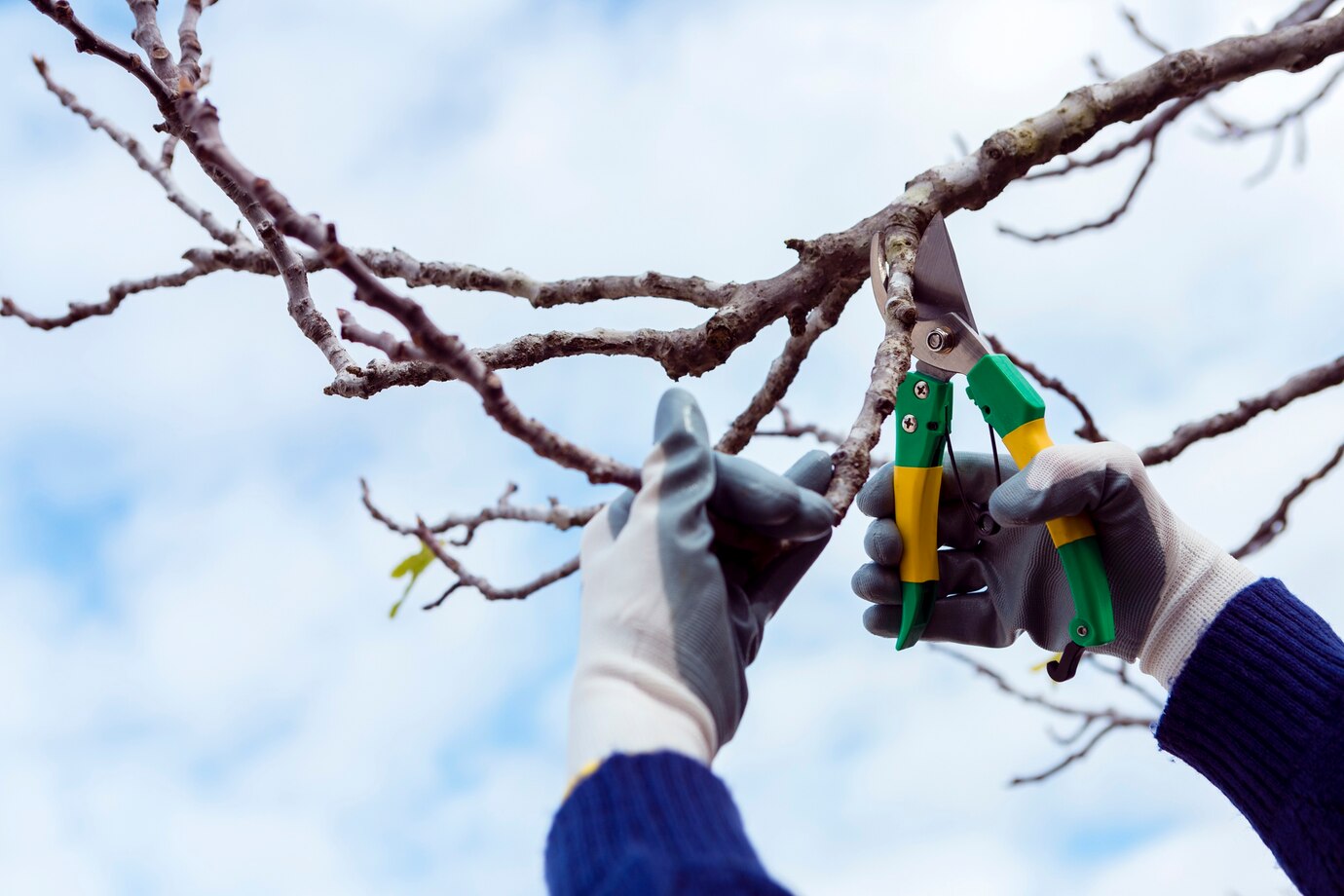 arborist supplies near me