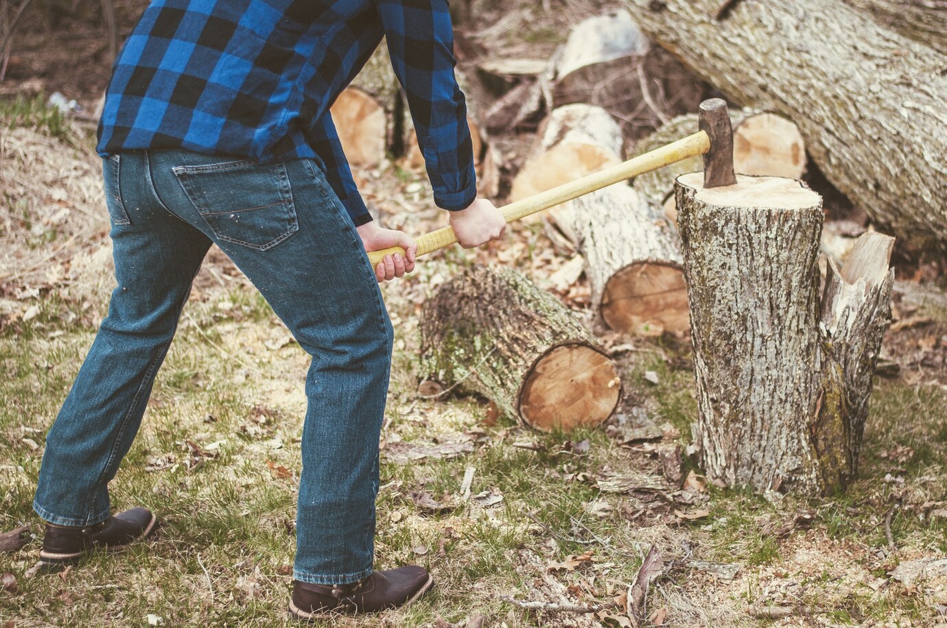 stump removal service
