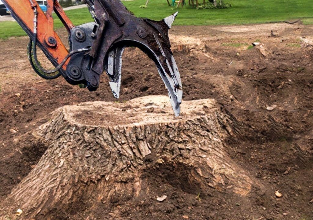 fast stump removal