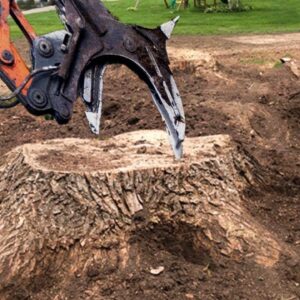 fast stump removal