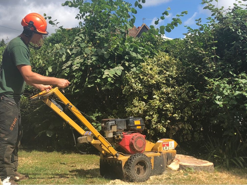 fast stump removal