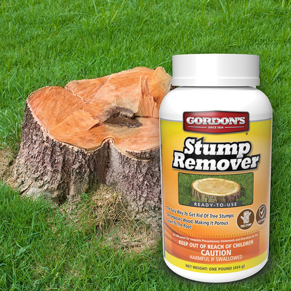 stump removal chemical near me